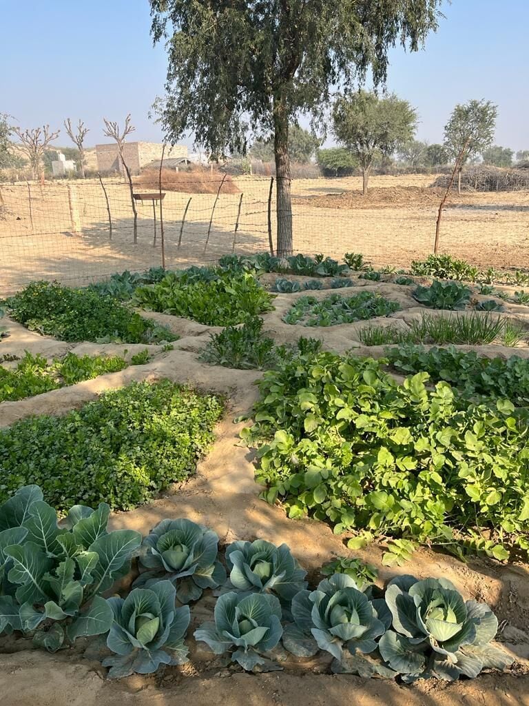 Beauty Brand Farming Initiatives Main Gallery Image
