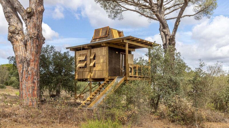 Summertime Getaway Treehouses