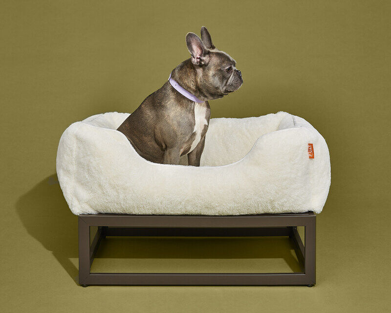 Stylish Modular Pet Beds