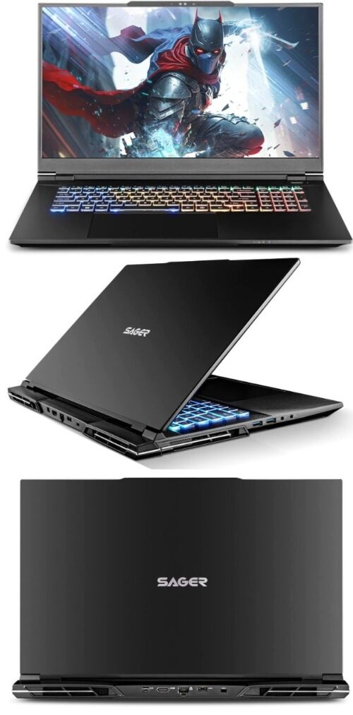 Immersive Full-Sized Gamer Laptops