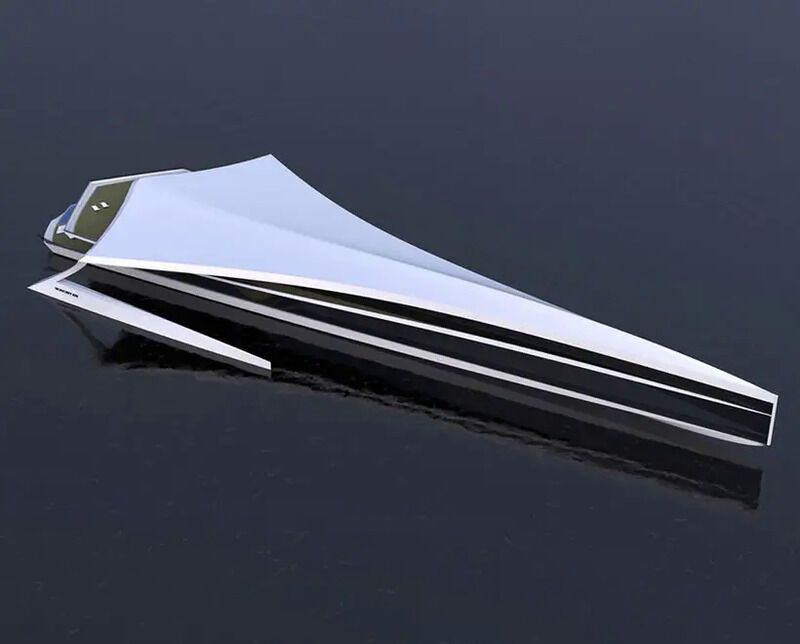 Hydrodynamic Avian-Inspired Yachts
