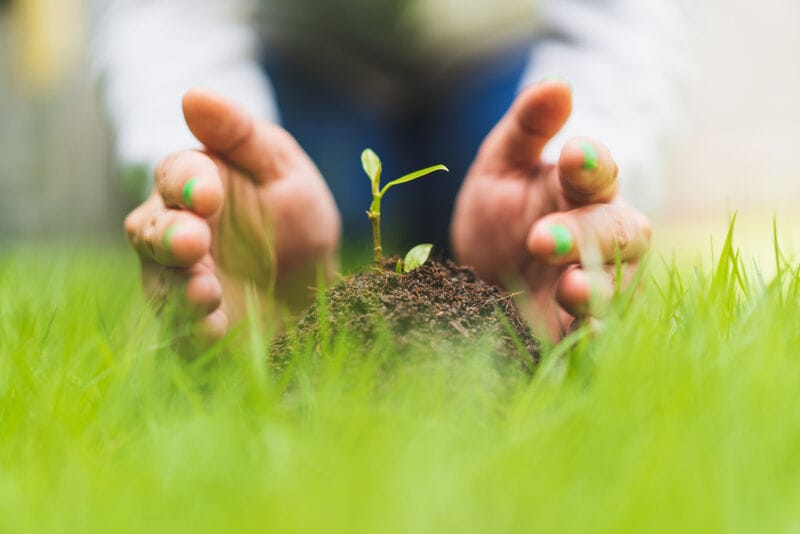 Biodegradable Nail Polishes