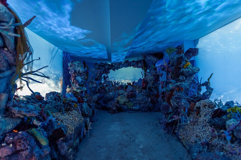 Coral Reef Restoration Programs Main Gallery Image