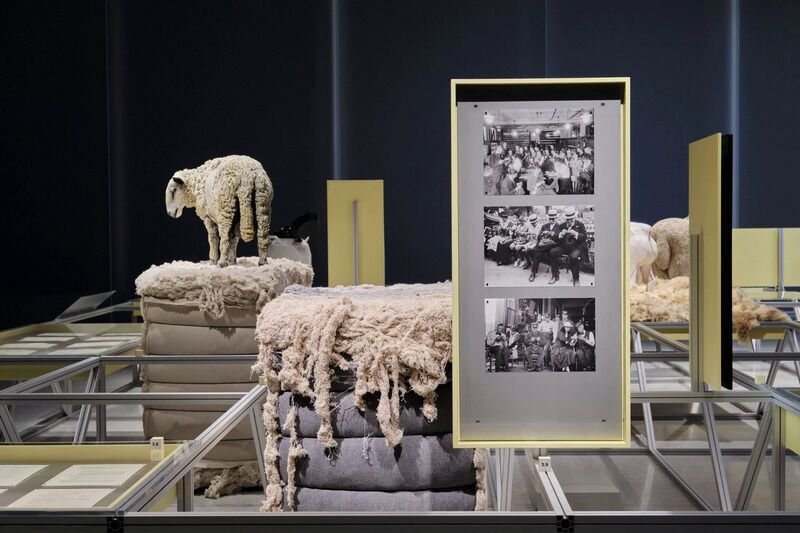 Wool-Centric Contemporary Exhibitions