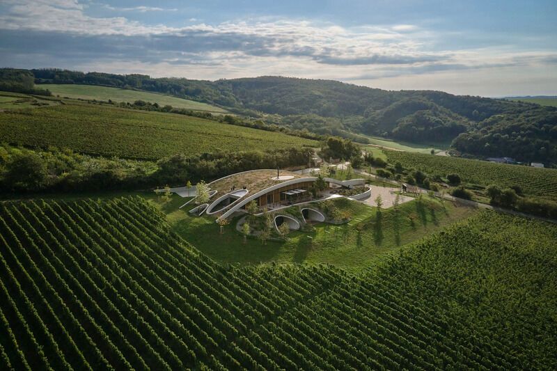 Greenery-Topped Winery Designs