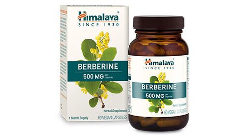 Ayurvedic Berberine Supplements