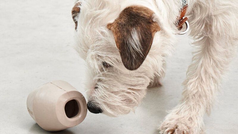 Interactive Dog Feeder Toys