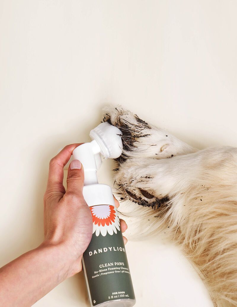 Plant-Based Pet Paw Cleaners