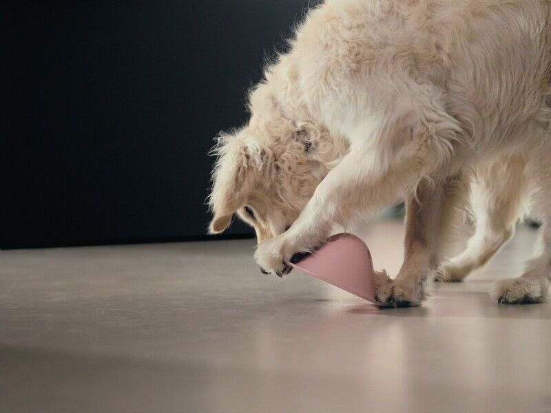 Instinct-Stimulating Dog Toys