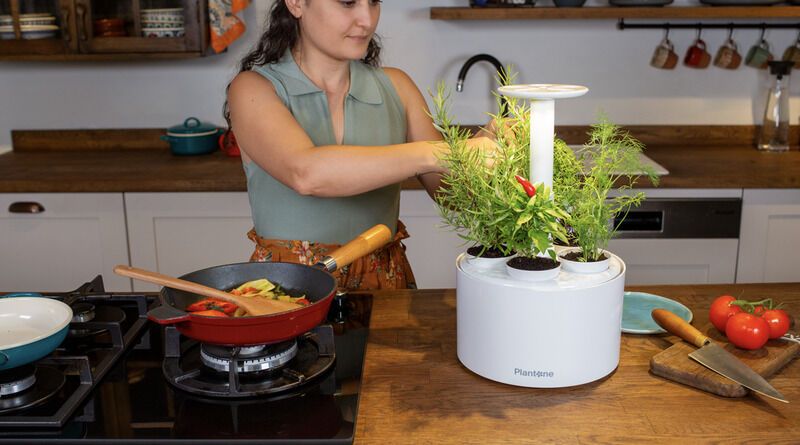 Updated Indoor Gardening Solutions