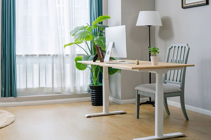 Sustainable Bamboo Standing Desks