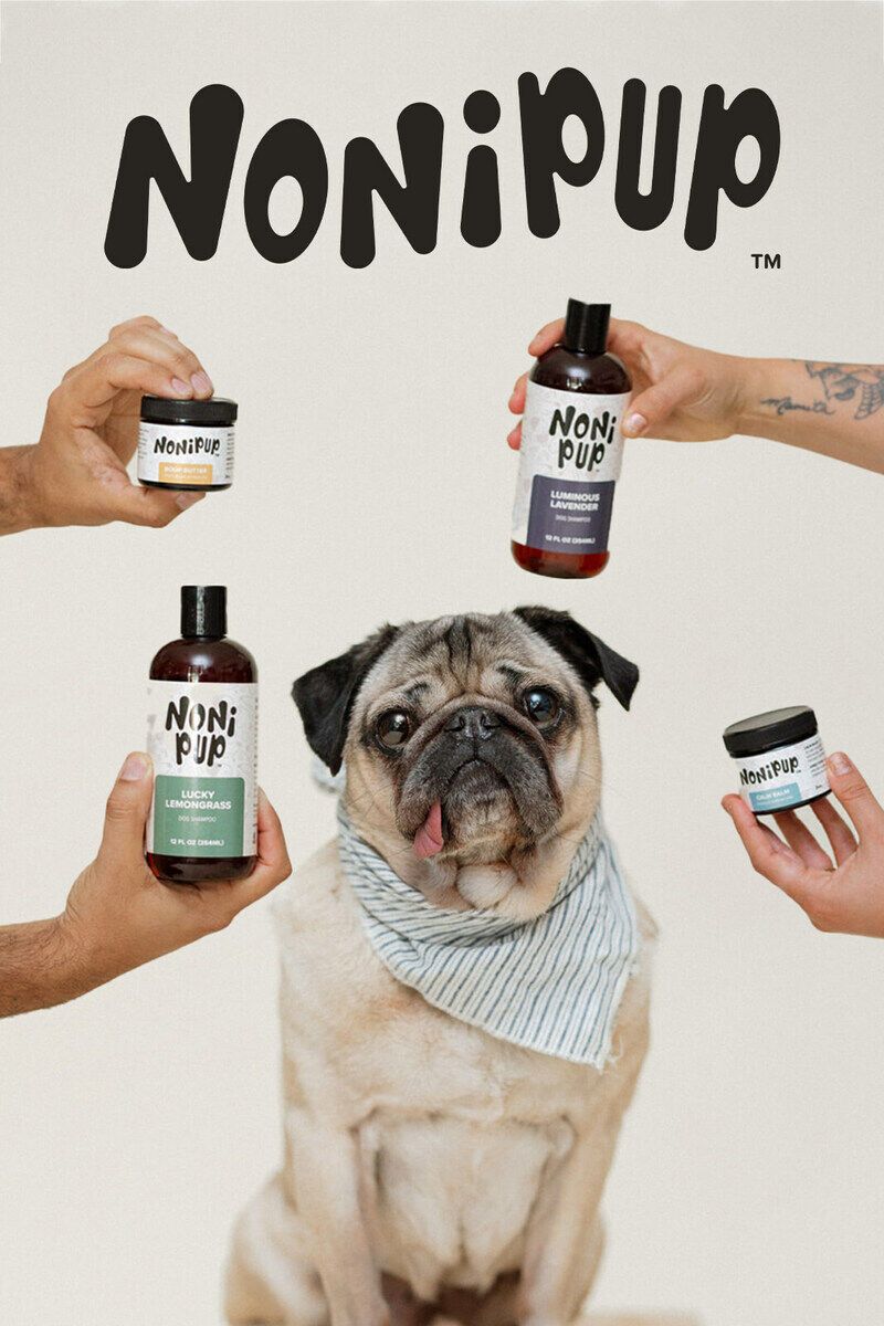 Creator-Founded Pet Wellness Brands