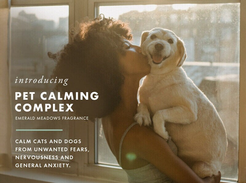 Calming Pet Fragrances