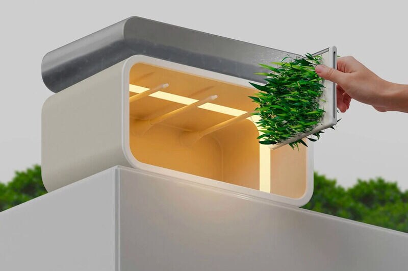 Hydroponic Plant-Growth Ecosystems Main Gallery Image