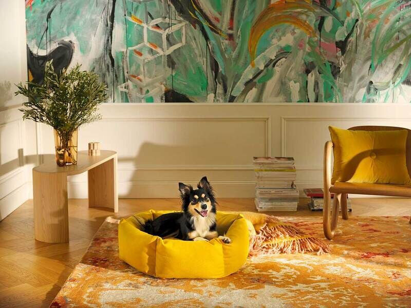 Artful Supportive Dog Beds