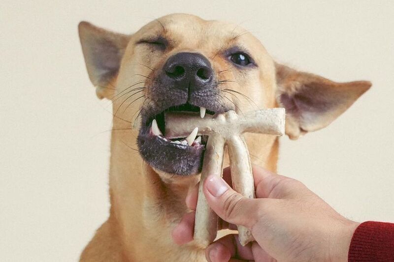 Tie-Shaped Dog Treats