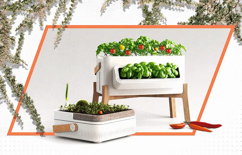 Indoor Organic Waste Gardens