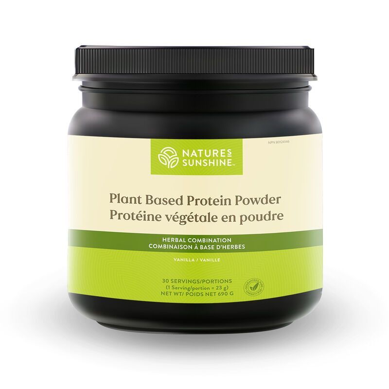 Plant-Based Protein Powders