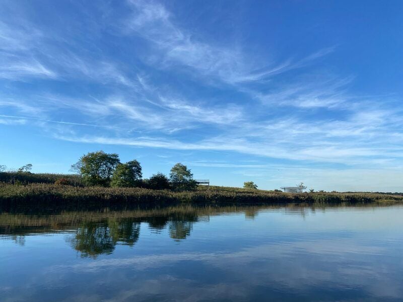 Landfill-Transformed Wetland Parks