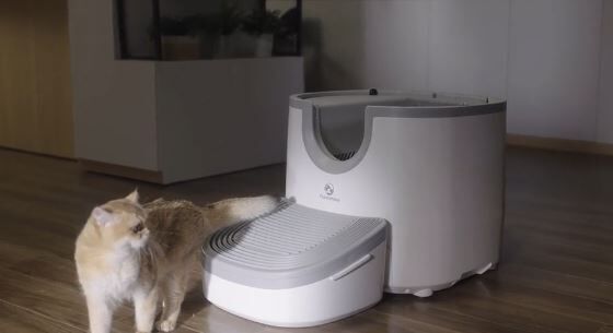 Open-Style Smart Litter Boxes
