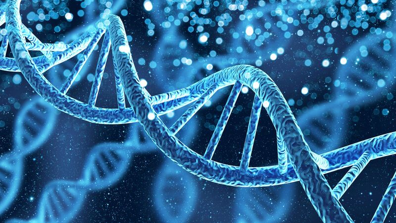 DNA Ancestry Tests