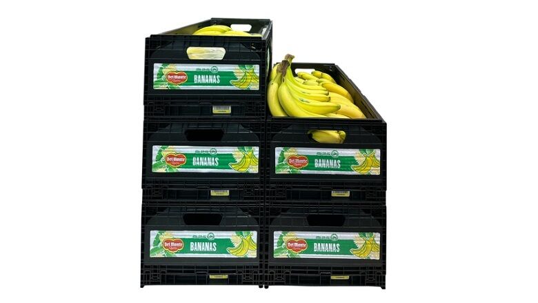 Reusable Banana Containers Main Gallery Image