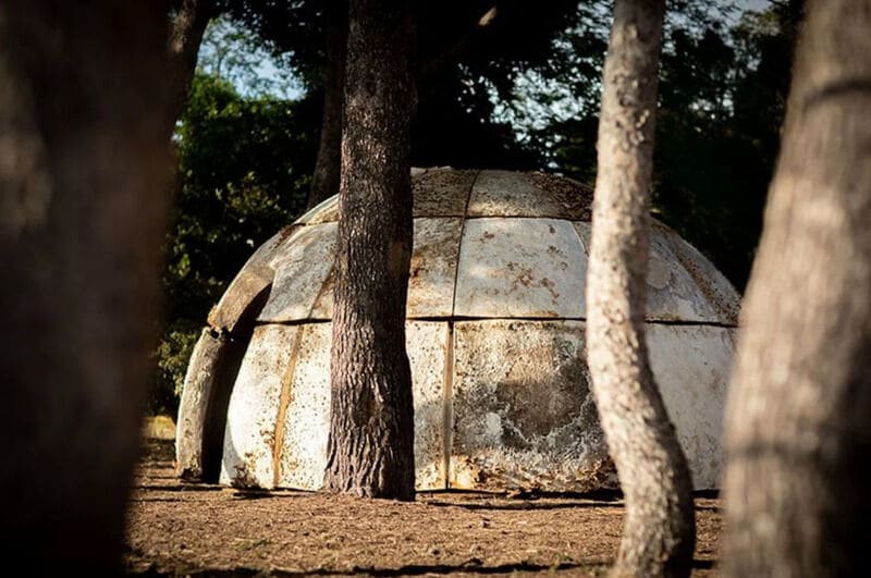 Biodegradable Mycelium Living Structures Main Gallery Image