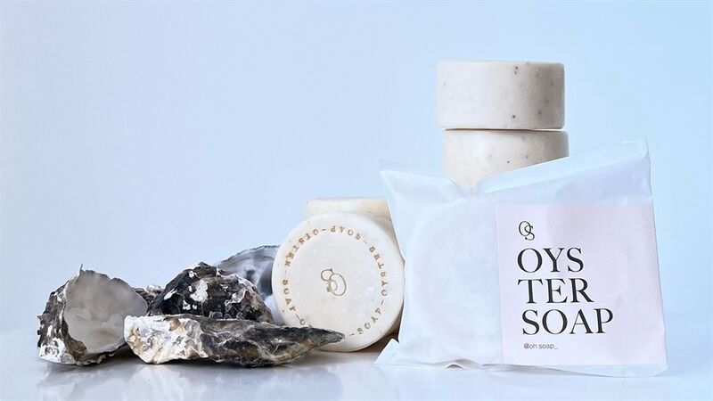 Oyster Shell Dish Soaps
