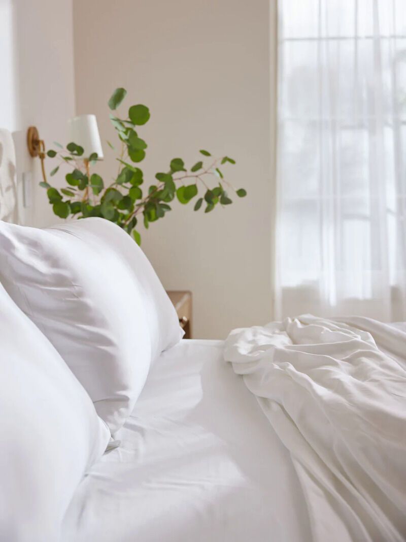 Environmentally Conscious Bamboo Pillows