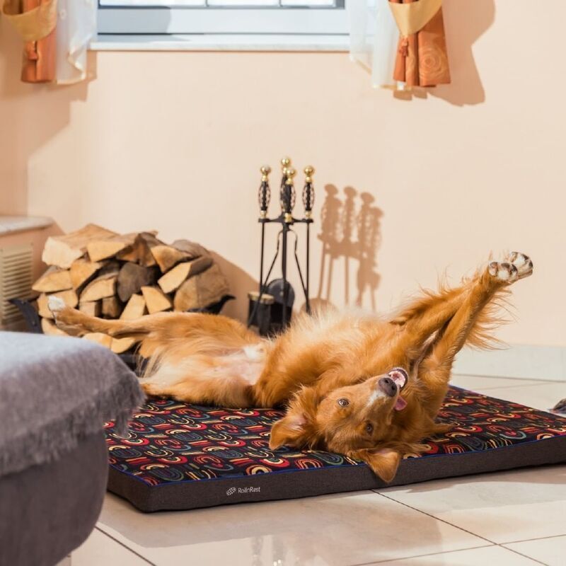Customizable Dog Beds
