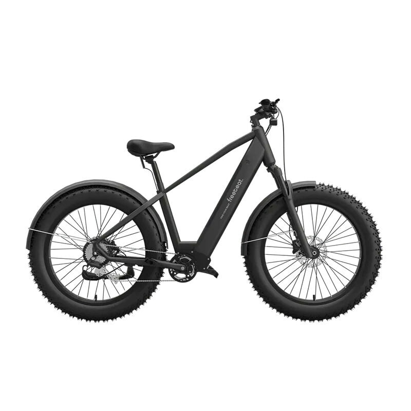 Hybrid Exercise E-Bikes