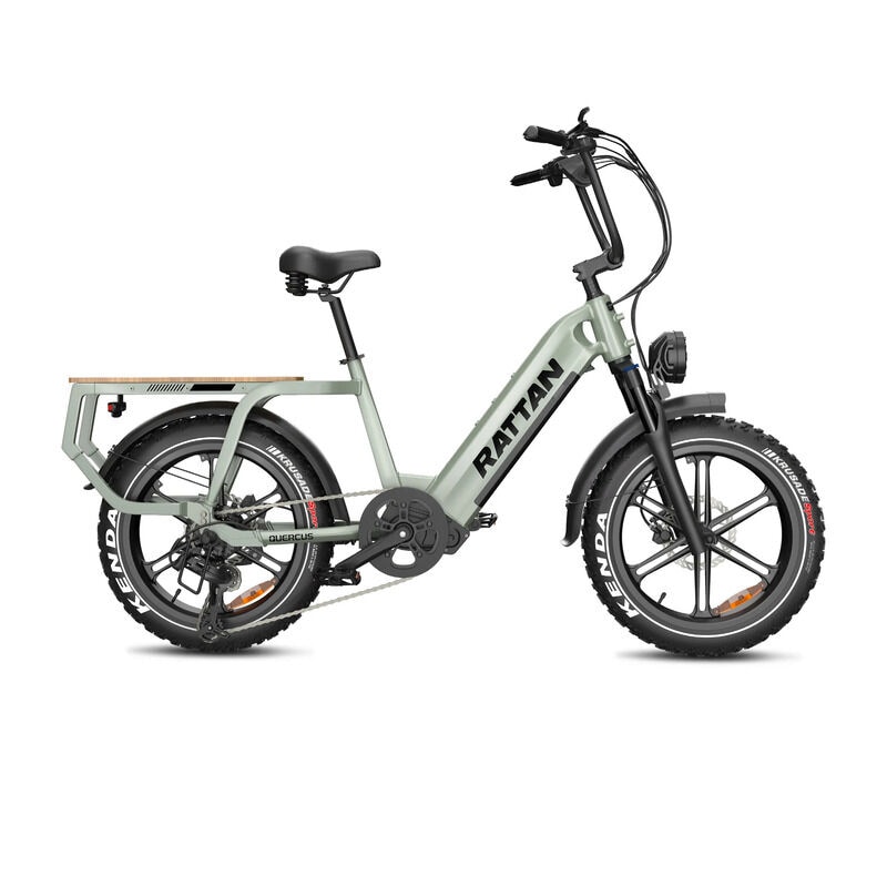 High-Payload E-Bikes