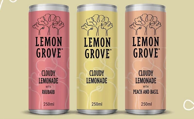 Cloudy Canned Lemonades