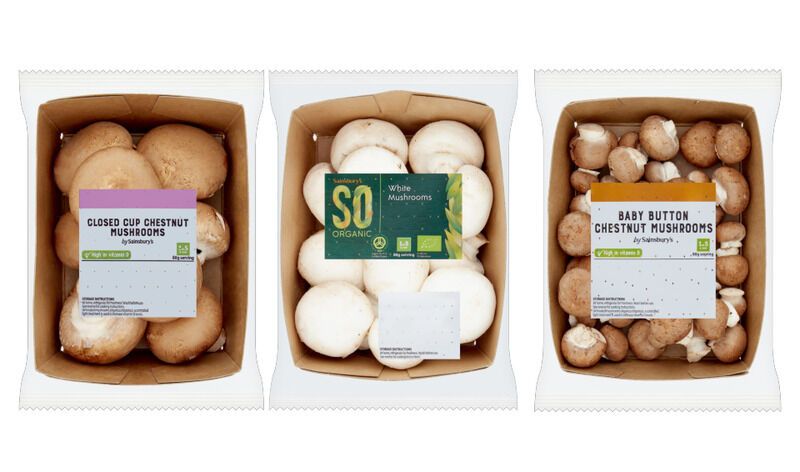Paper-Made Mushroom Packaging