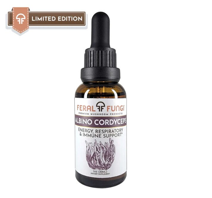 High-Quality Mushroom Supplements