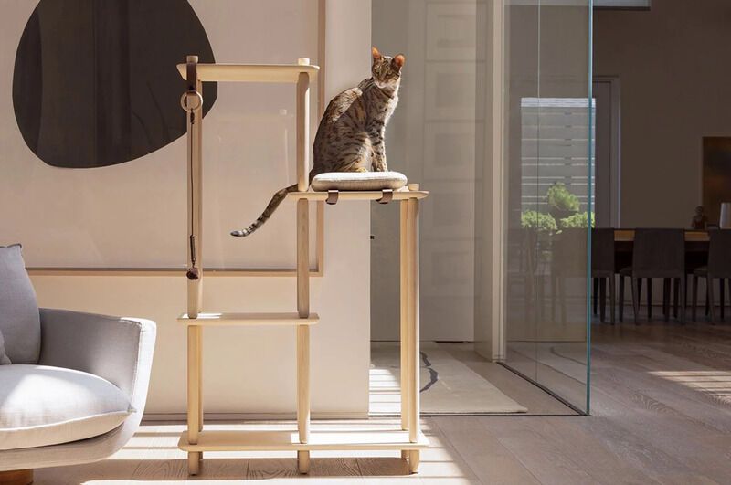 Pet-Catered Sleek Furniture Designs