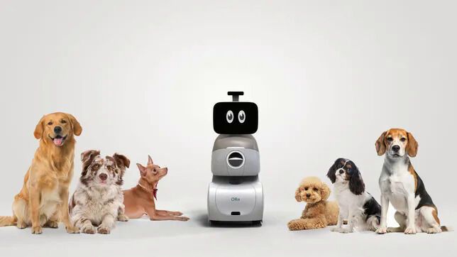Reactive Robotic Dog Companions