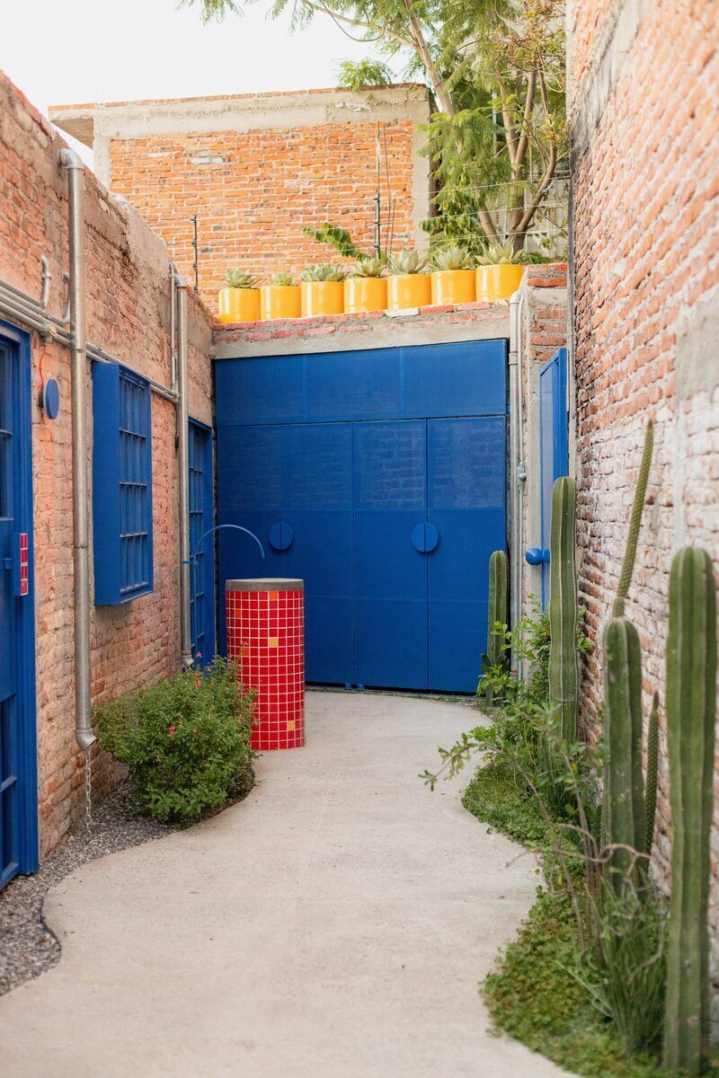 Primary Color-Rooted Cultural Offices