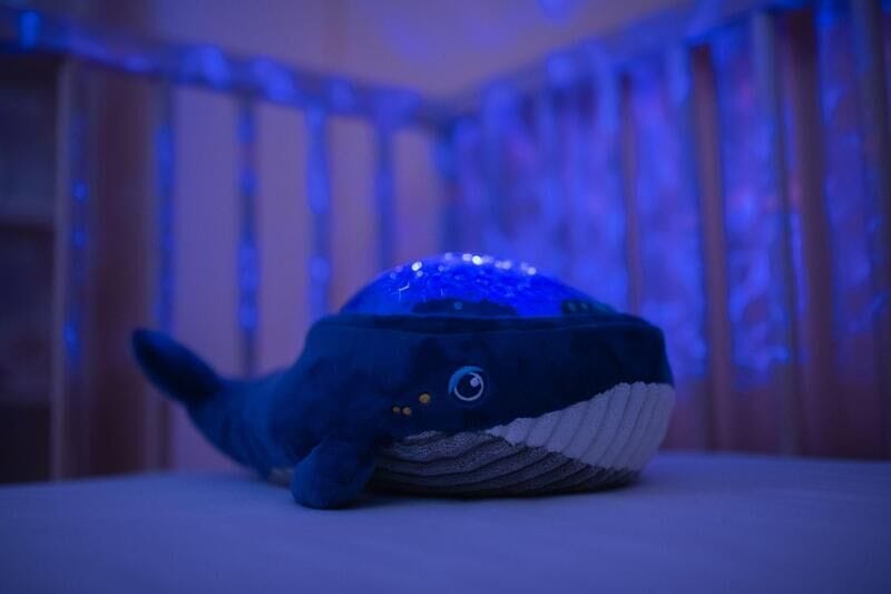 Oceanic Sleep Soothers