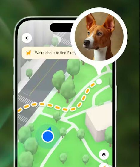 GPS Pet Trackers