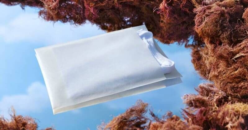 Sustainable Seaweed Resin Packaging