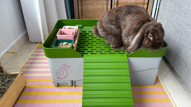Sustainable Rabbit Litter Boxes