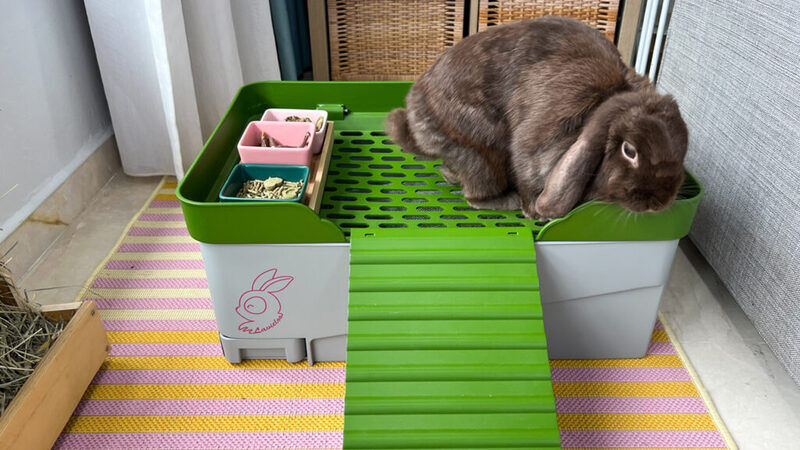 Sustainable Rabbit Litter Boxes Main Gallery Image