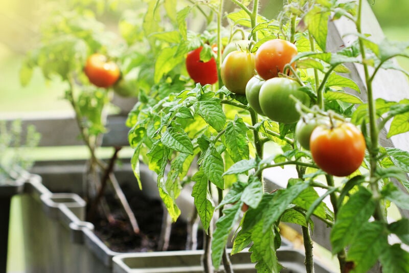 Sustainable Growing Containers Main Gallery Image