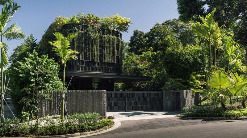 Plant-Filled Latticed Buildings
