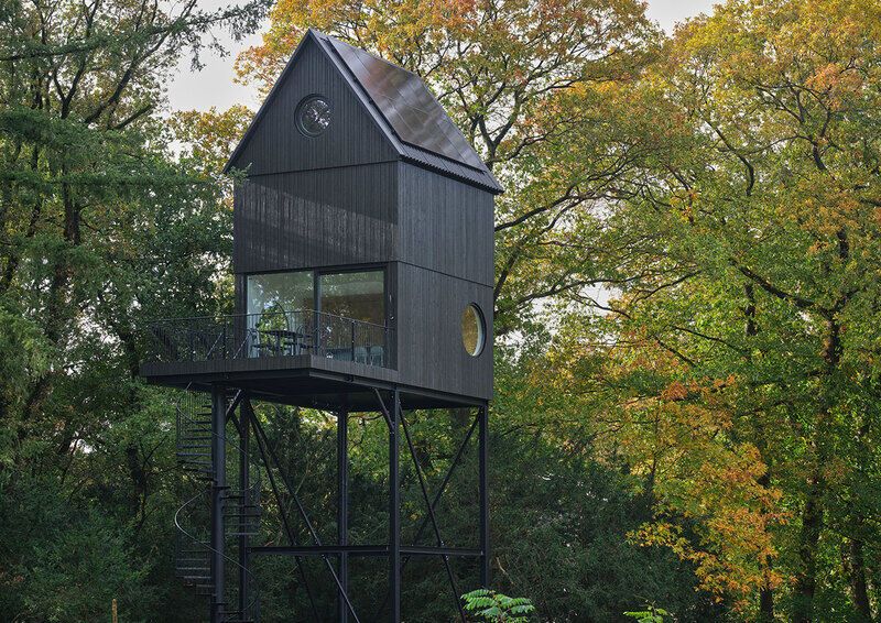 Elevated Treetop Modern Cabins