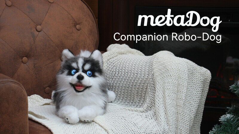 Robotic Canine Companions