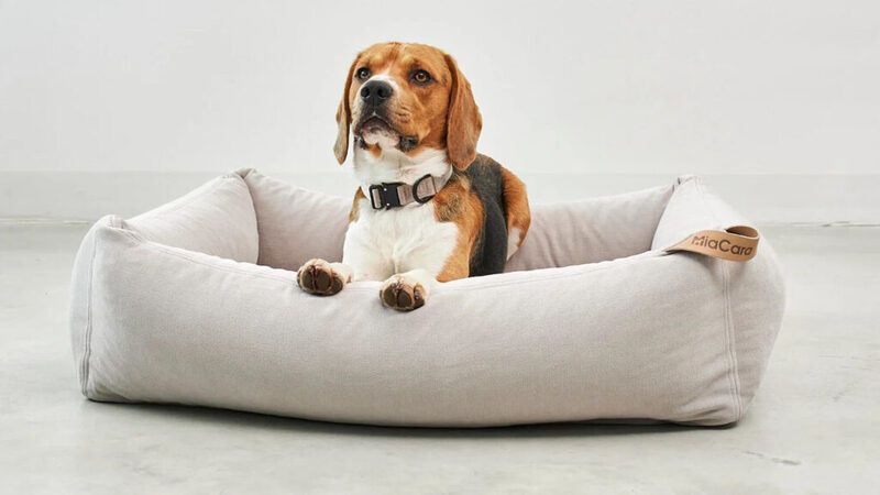 Anti-Fatigue Artisan-Made Dog Beds