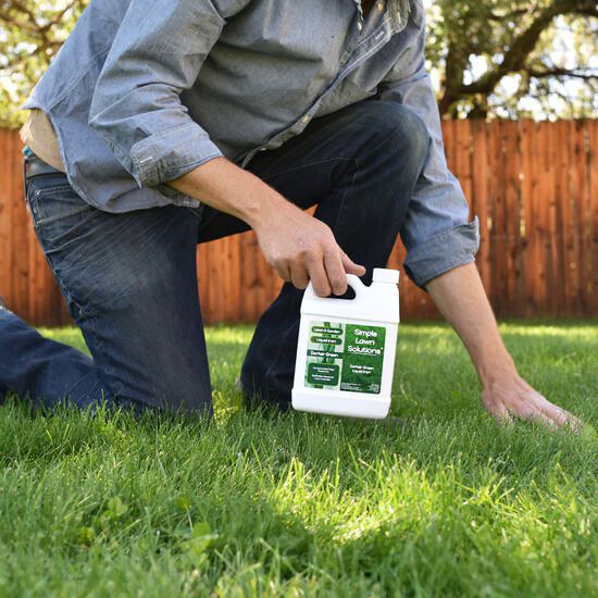 Comprehensive Lawn Care Products