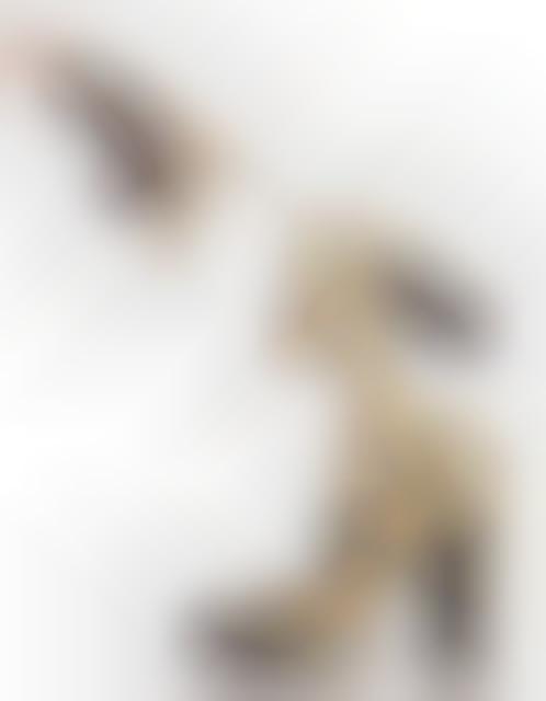 Designer Brand Skin